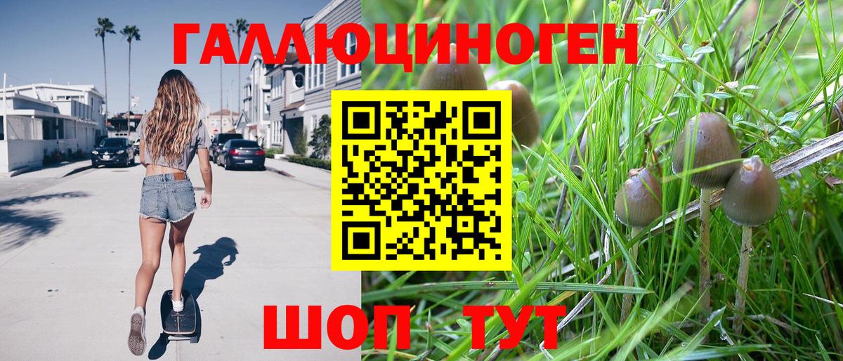 Галлюциногенные грибы GOLDEN TEACHER  Вход с VPN  Обь  Псилоцибиновые грибы Psilocybine cubensis 