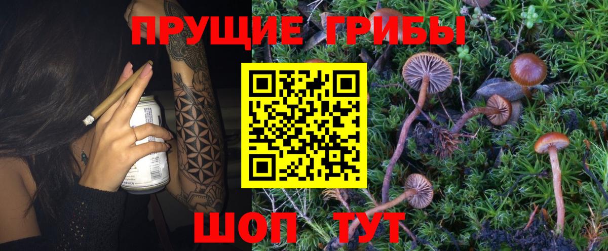Псилоцибиновые грибы MAGIC MUSHROOMS Обь
